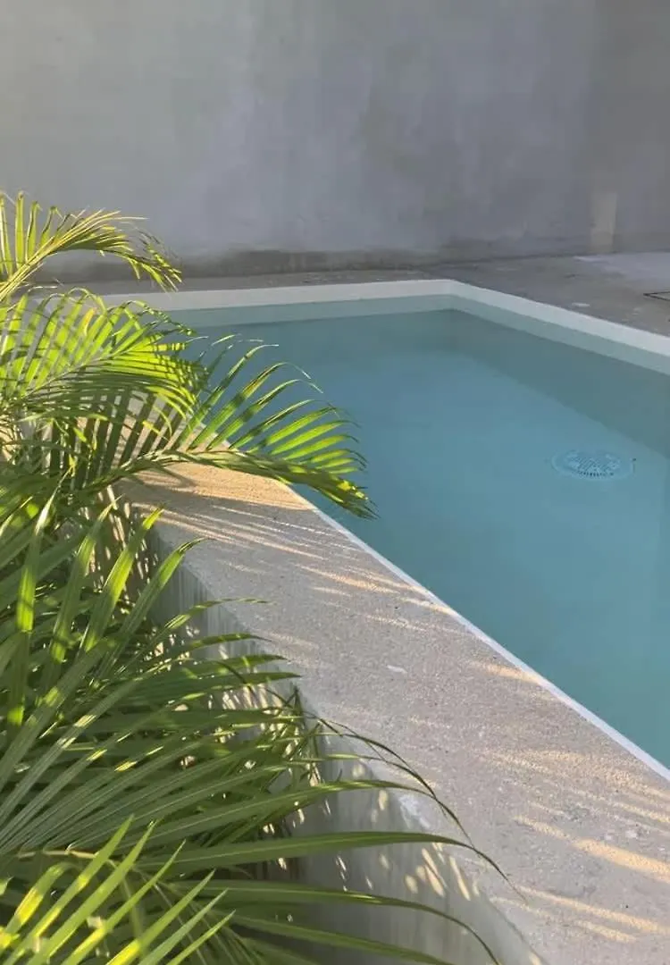 Apartment Seremonia Selva New Suite Near Beach For Couple And 2 Kids Private Pool Free Parking Tulum