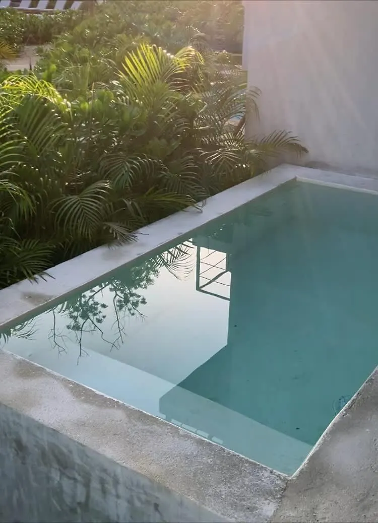 Seremonia Selva New Suite Near Beach For Couple And 2 Kids Private Pool Free Parking Tulum
