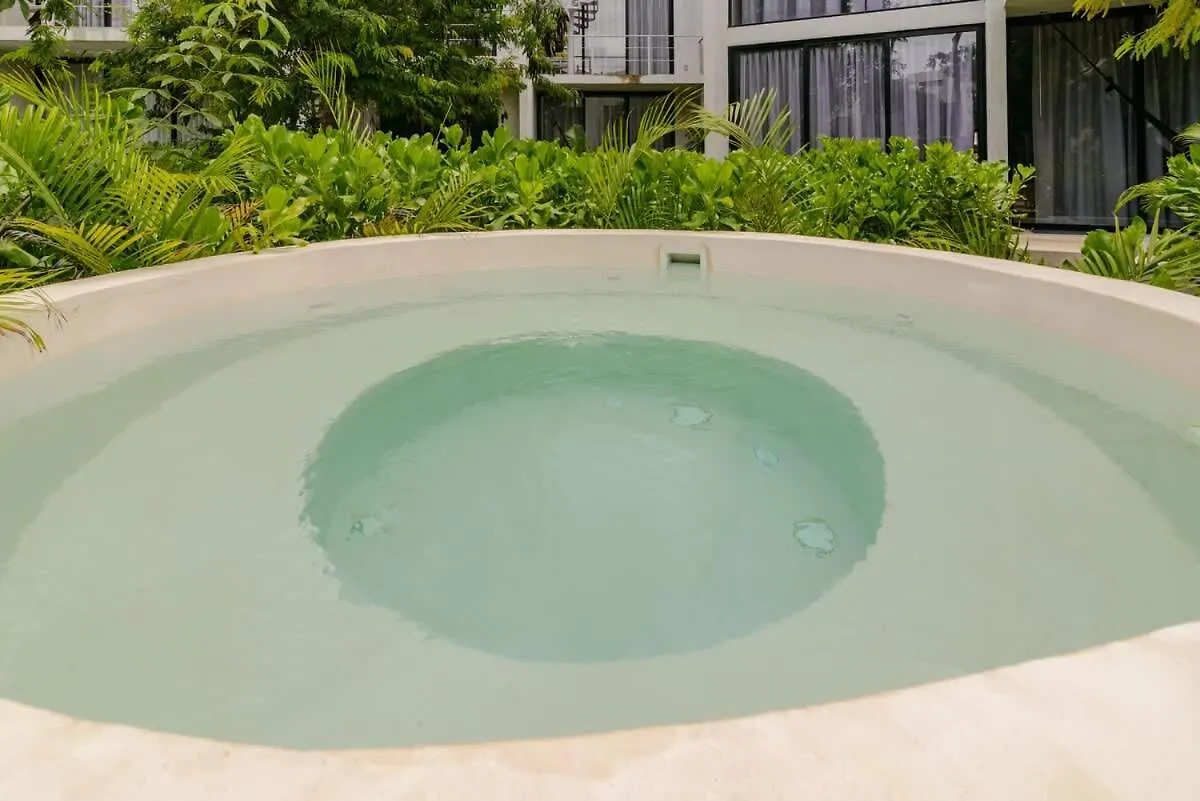 Seremonia Selva New Suite Near Beach For Couple And 2 Kids Private Pool Free Parking Tulum Apartment